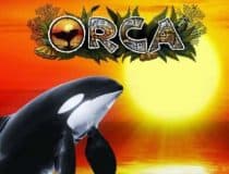 Orca