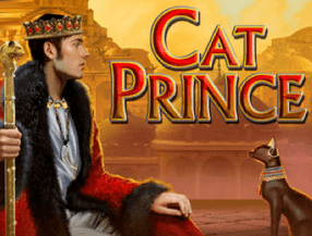 Cat Prince