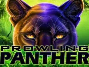 Prowling Panther