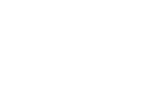MrGreen logo